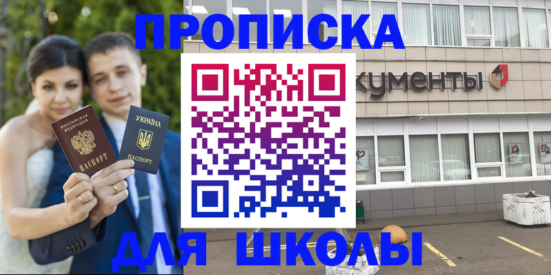 временная регистрация госуслуги в Светлогорске