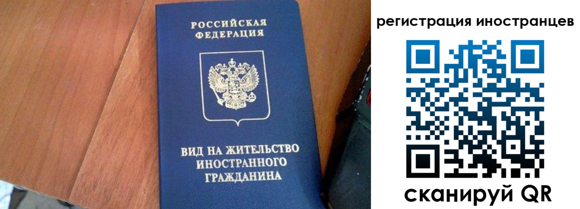 временная регистрация в Светлогорске