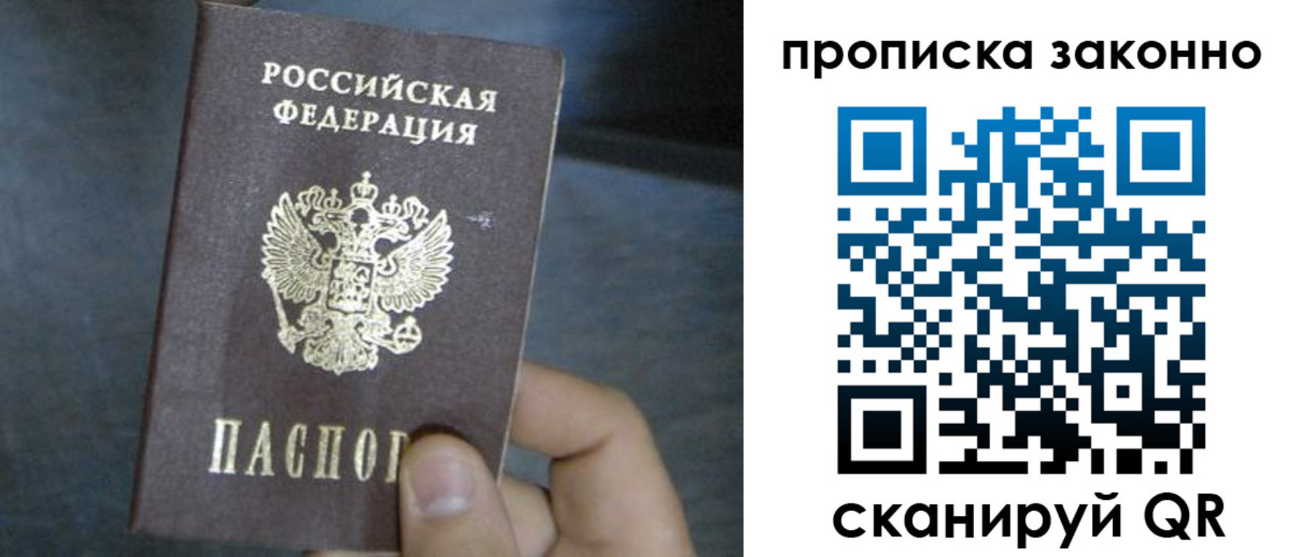 прописка в квартире в Светлогорске