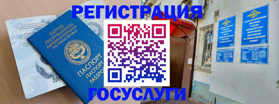 временная регистрация поиск в Светлогорске